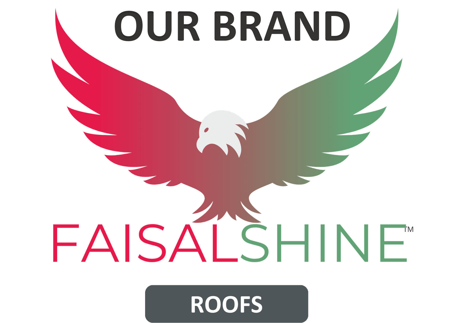 logo-shine